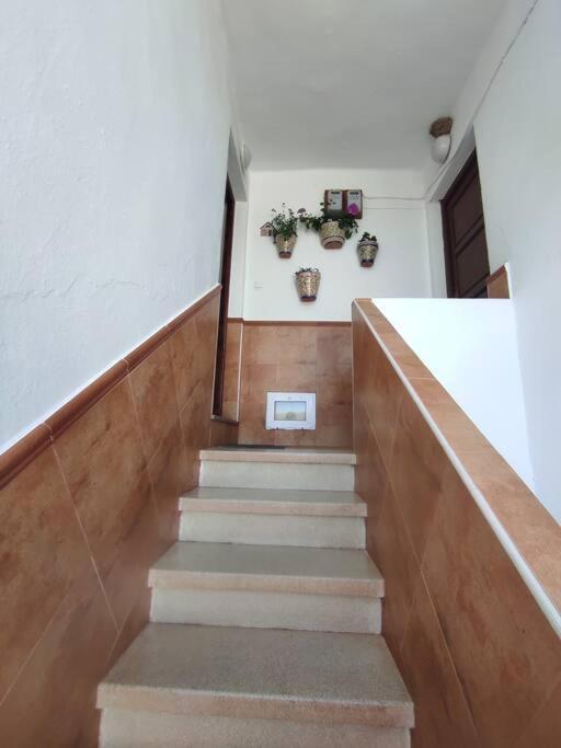 Villa La Casita Cortes de la Frontera Exterior foto